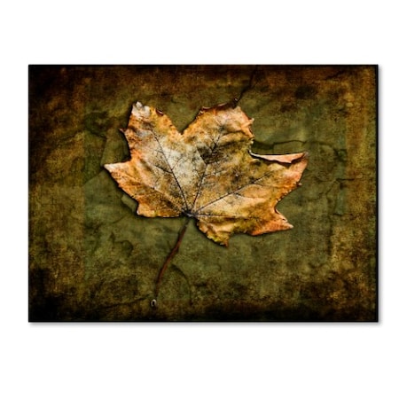 LightBoxJournal 'Metallic Leaf 1' Canvas Art,24x32